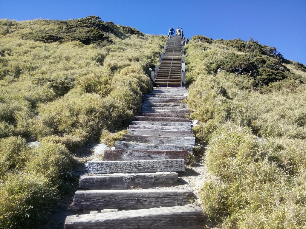 DSC_6678.JPG - 合歡山  東峰