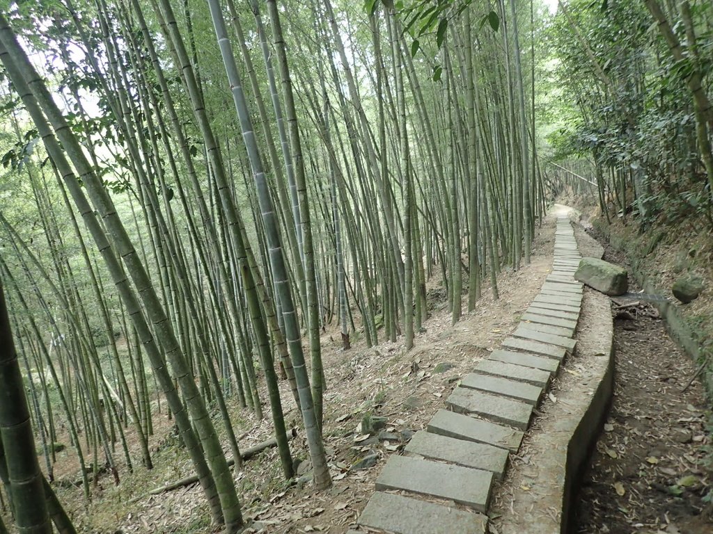 PA171278.JPG - 鹿谷  長源圳古道