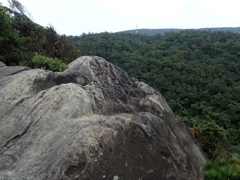 P3160070.JPG - 汐止  柯子林山  如意湖