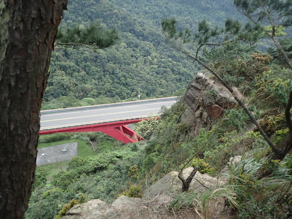 P3160171.JPG - 汐止  金面山(金明山)  稜線步道