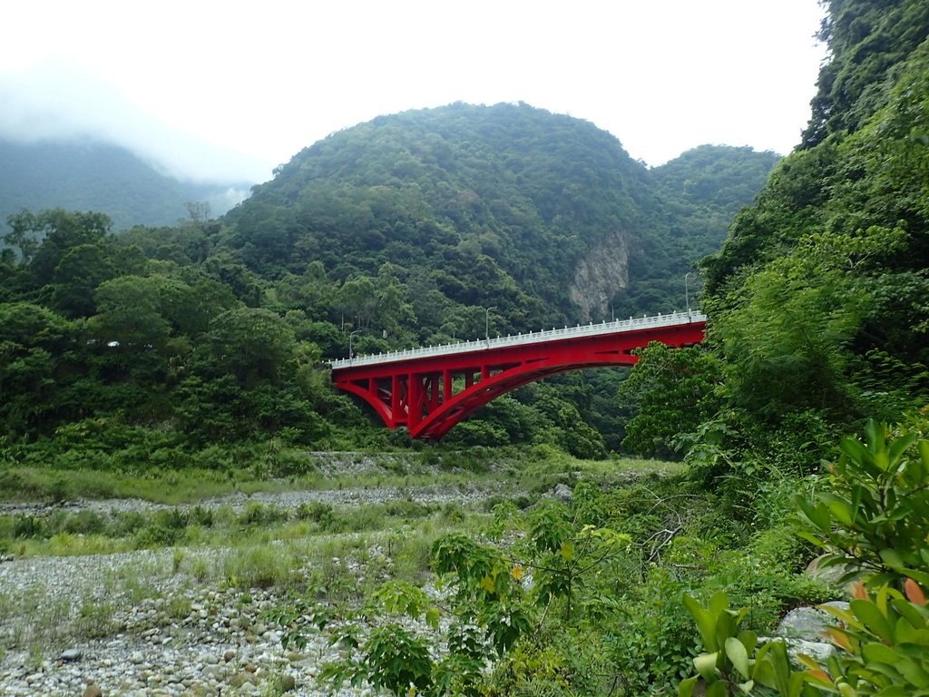 P9098341.JPG - 花蓮  太魯閣  小錐麓步道