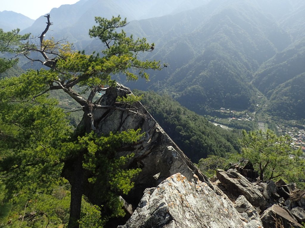 P3167240.JPG - 谷關  東卯山東南稜