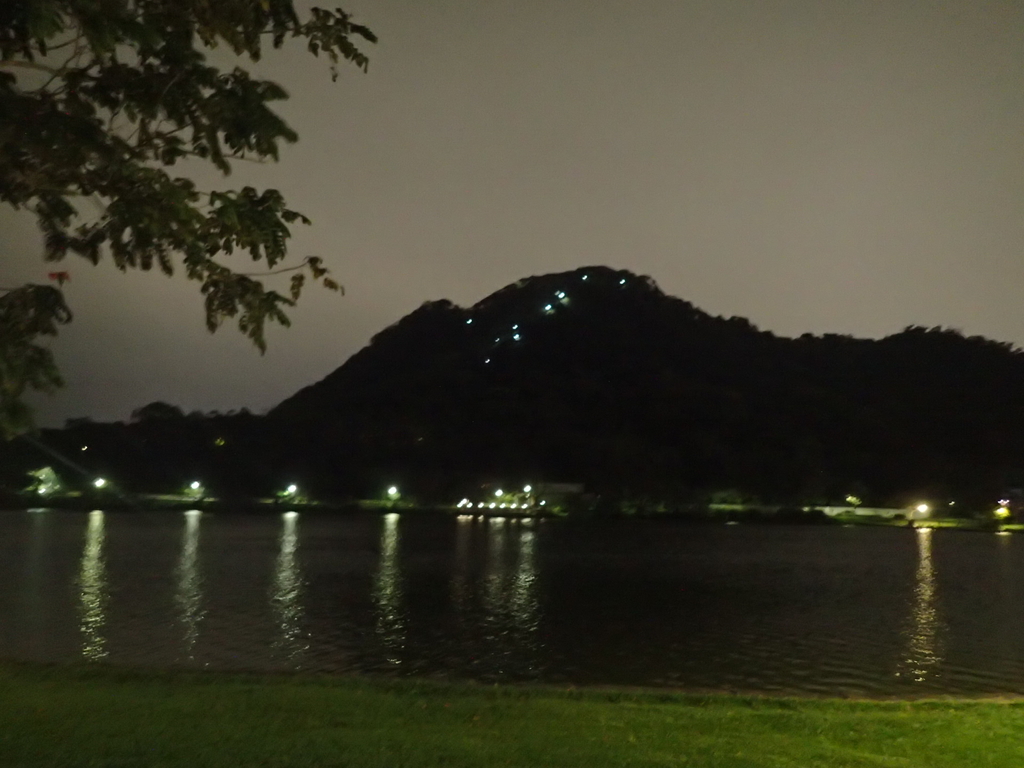 P3116996.JPG - 內湖  大湖公園之夜色