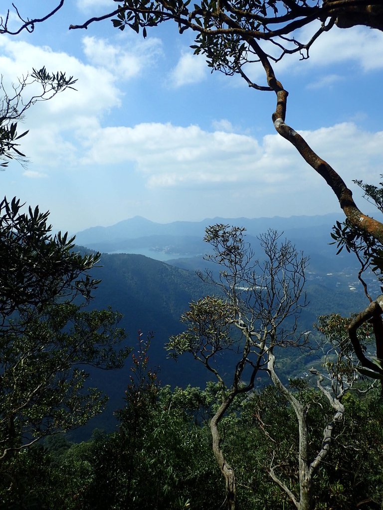 PA040460.JPG - 魚池  大尖山登山步道