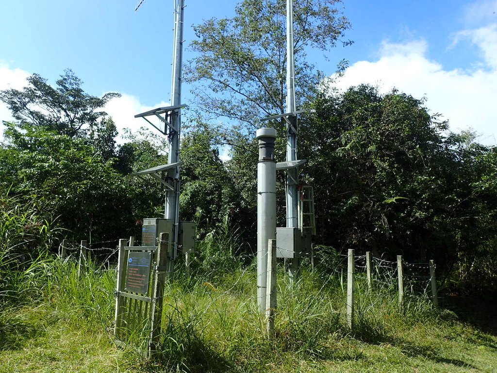 PA040474.JPG - 魚池  大尖山登山步道