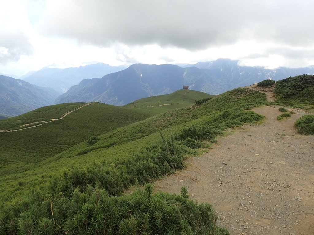 P7246000.JPG - 合歡山  北峰之美  (中)