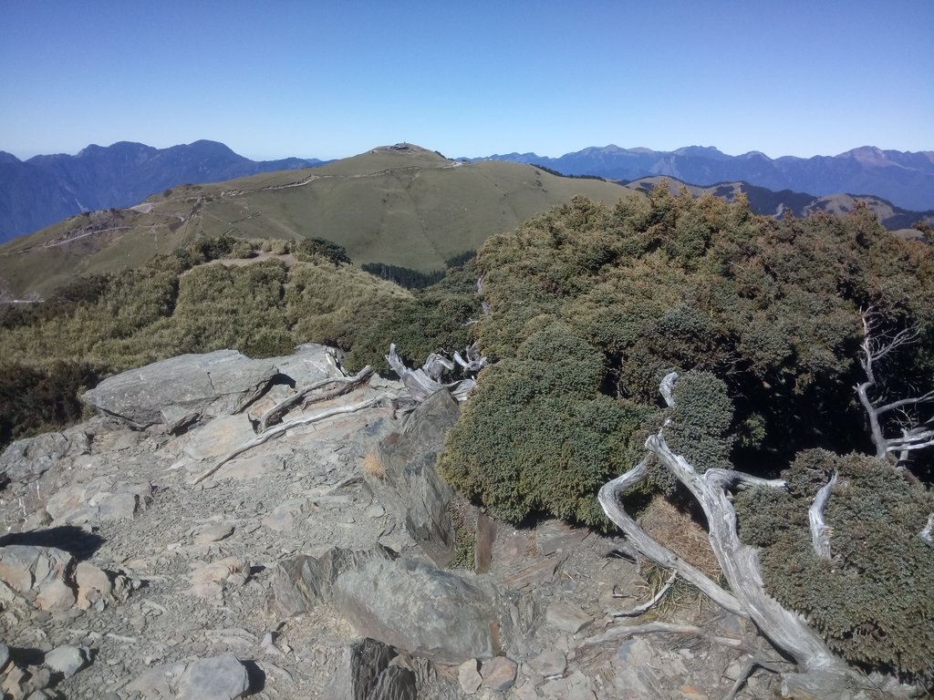 DSC_6692.JPG - 合歡山  東峰