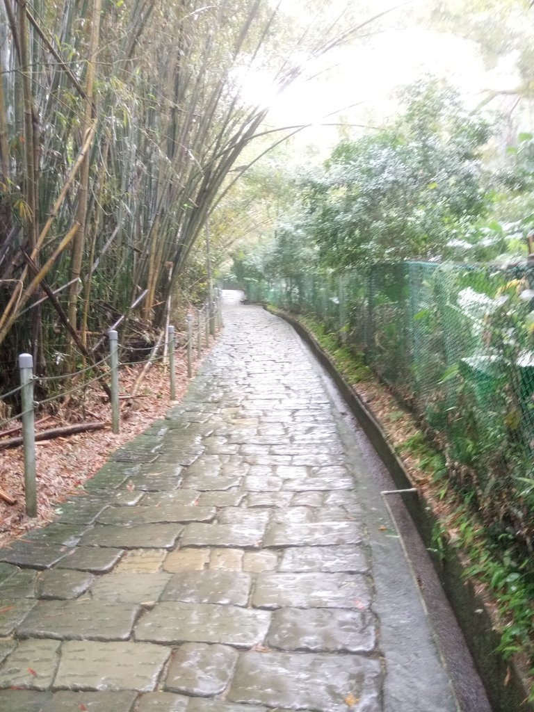 DSC_1708.JPG - 土城  承天寺  朝山步道