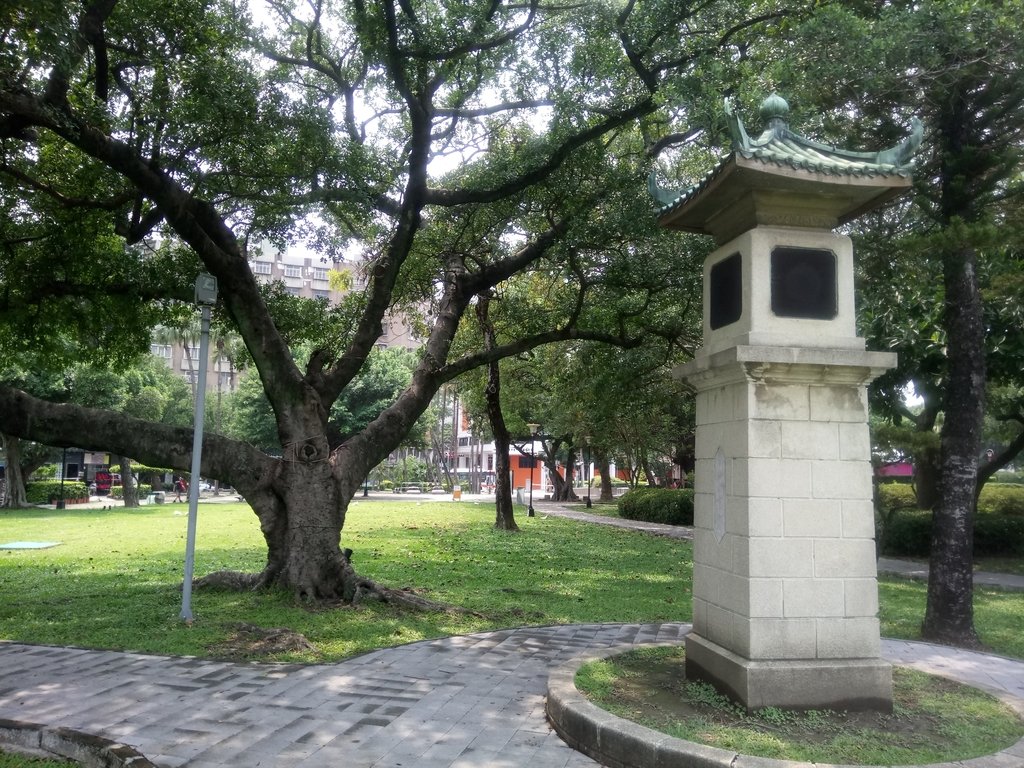 DSC_9930.JPG - 散步  台中公園一隅