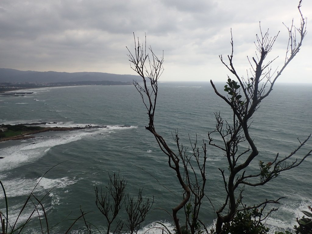 P1264034.JPG - 野柳  北八斗山稜線步道