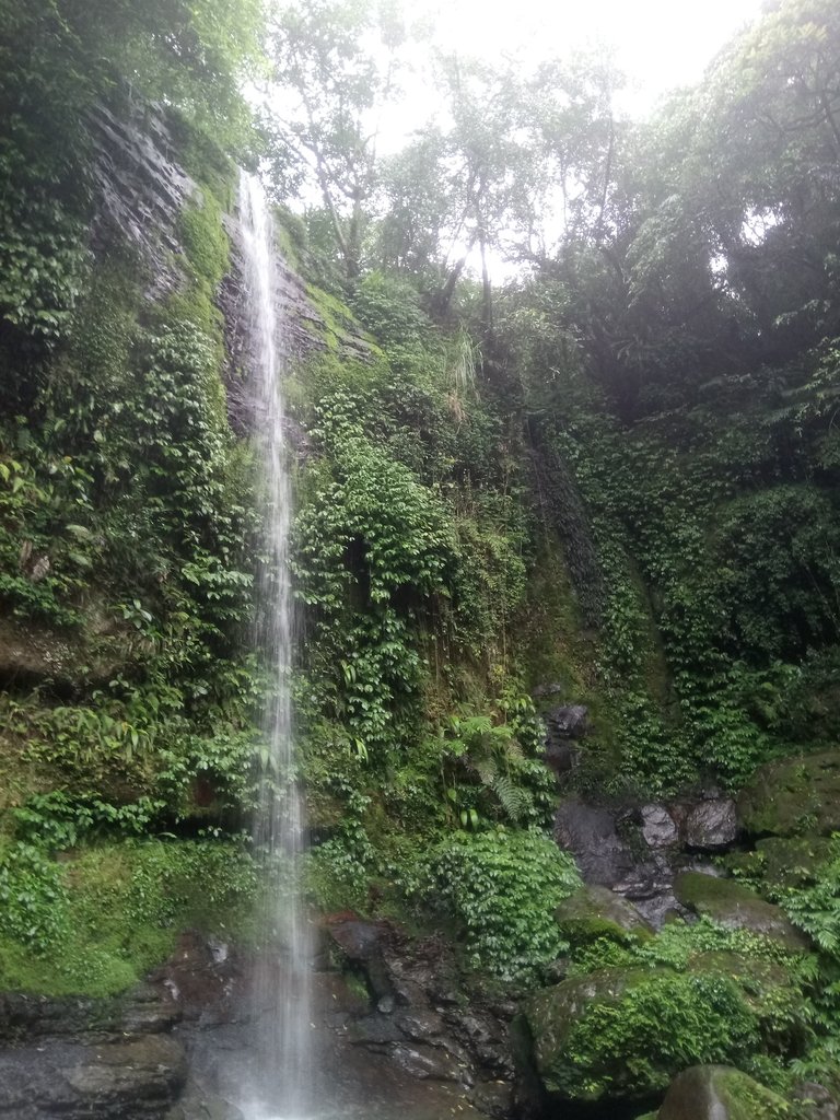 DSC_8446.JPG - 深坑  炮子崙登山步道