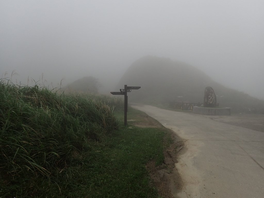 P1203417.JPG - 瑞芳  牡丹山