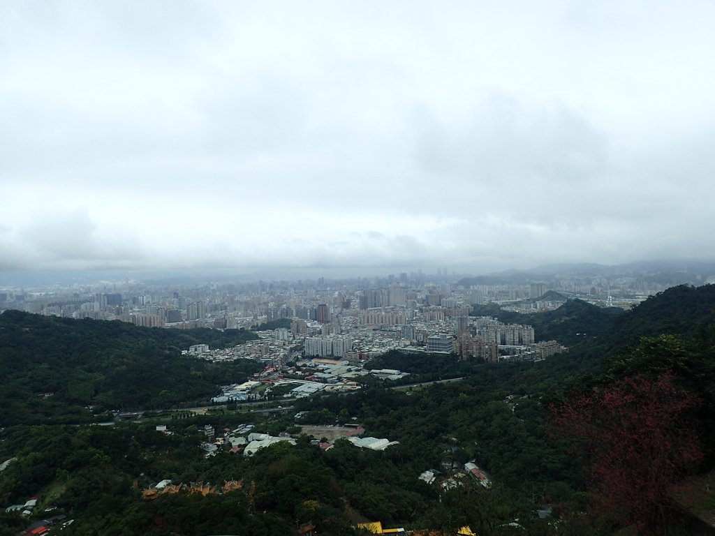 P2178203.JPG - 中和  南勢角山  (烘爐地)