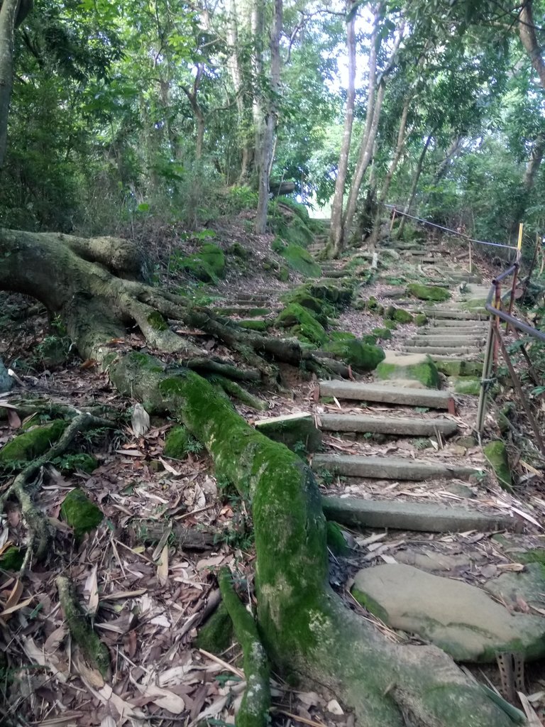 DSC_4780.JPG - 台中  大坑  南觀音山