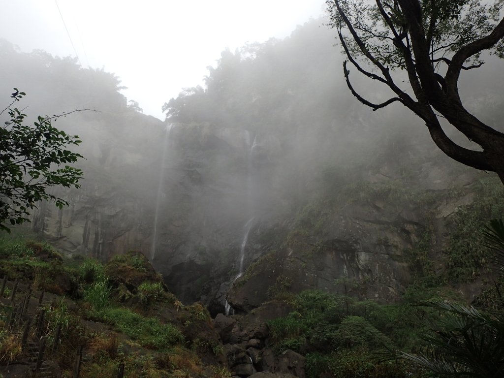 PA231572.JPG - 草嶺  蓬萊瀑布步道