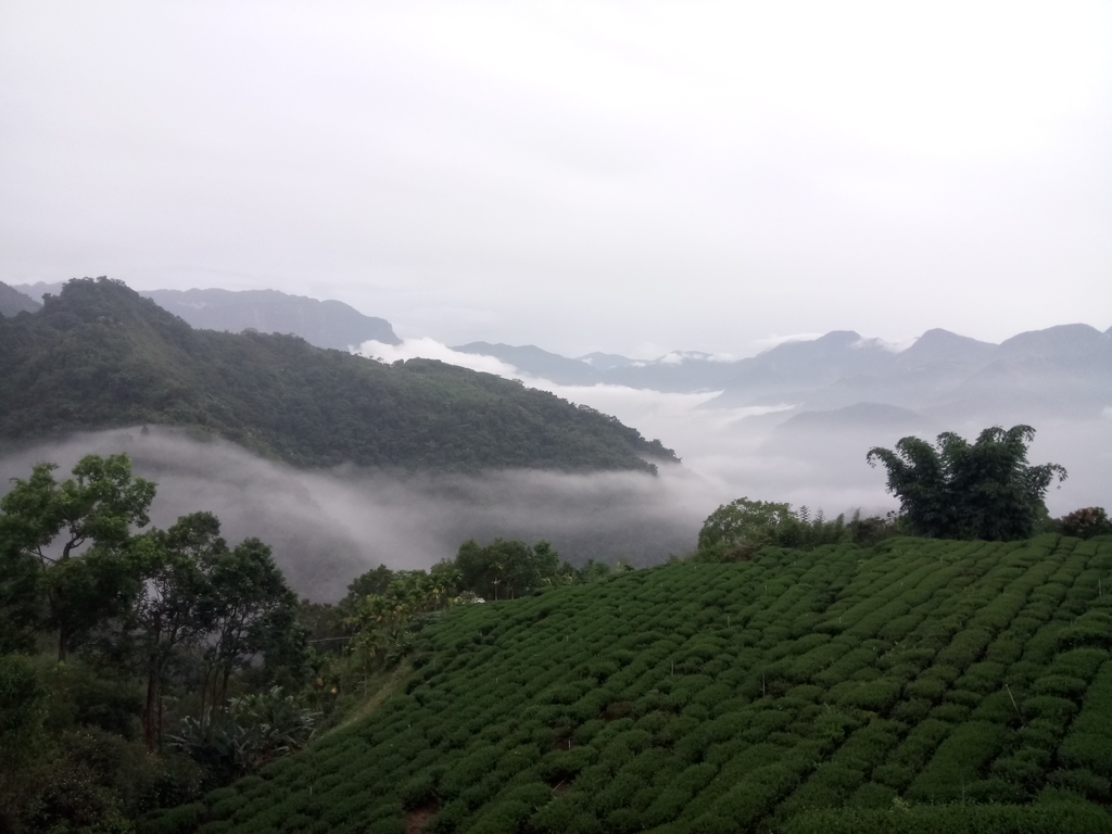 DSC_1380.JPG - 石壁途中之   茶山雲雨