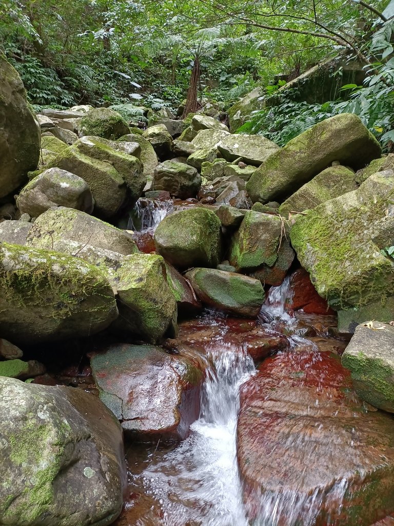 IMG20201215132738.jpg - 東眼山  東滿步道