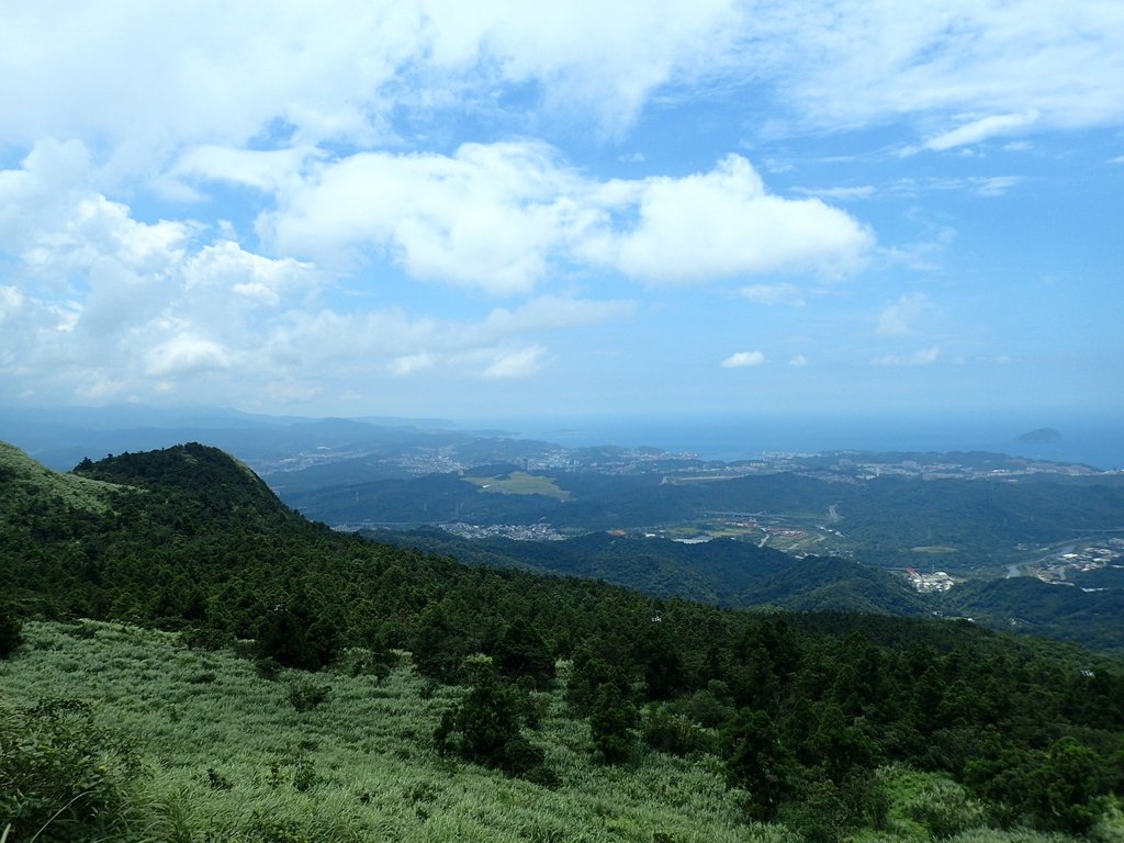 P7203883.JPG - 瑞芳  五分山登山步道