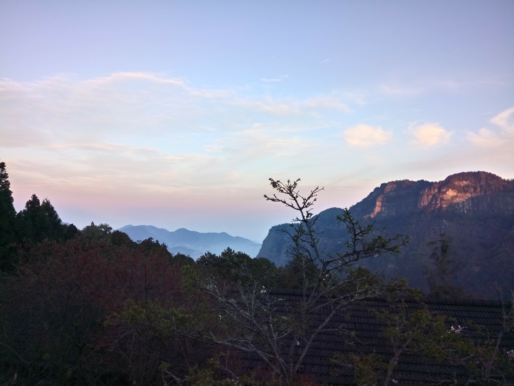 DSC_1623.JPG - 阿里山  沼平公園  賞櫻