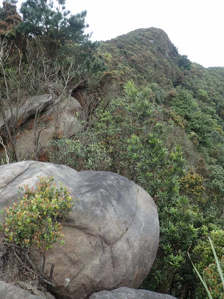 P3160072.JPG - 汐止  柯子林山  如意湖