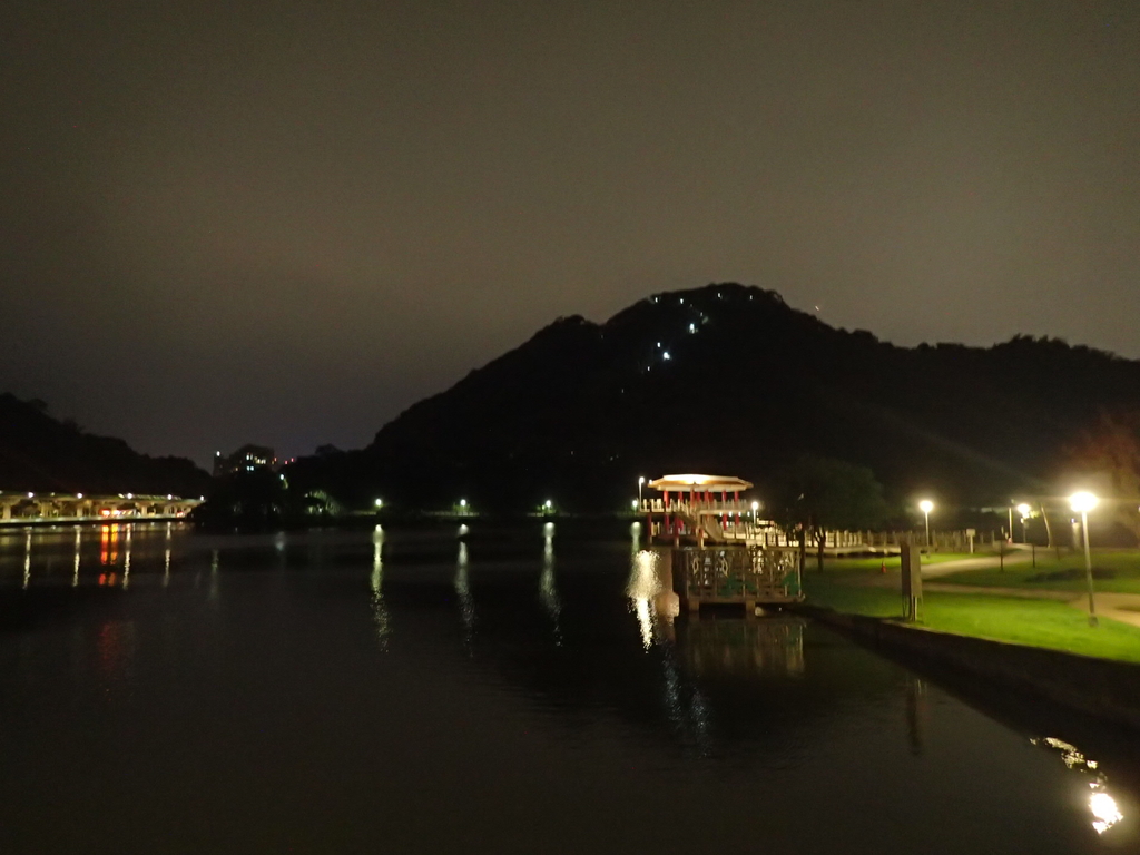 P3117003.JPG - 內湖  大湖公園之夜色