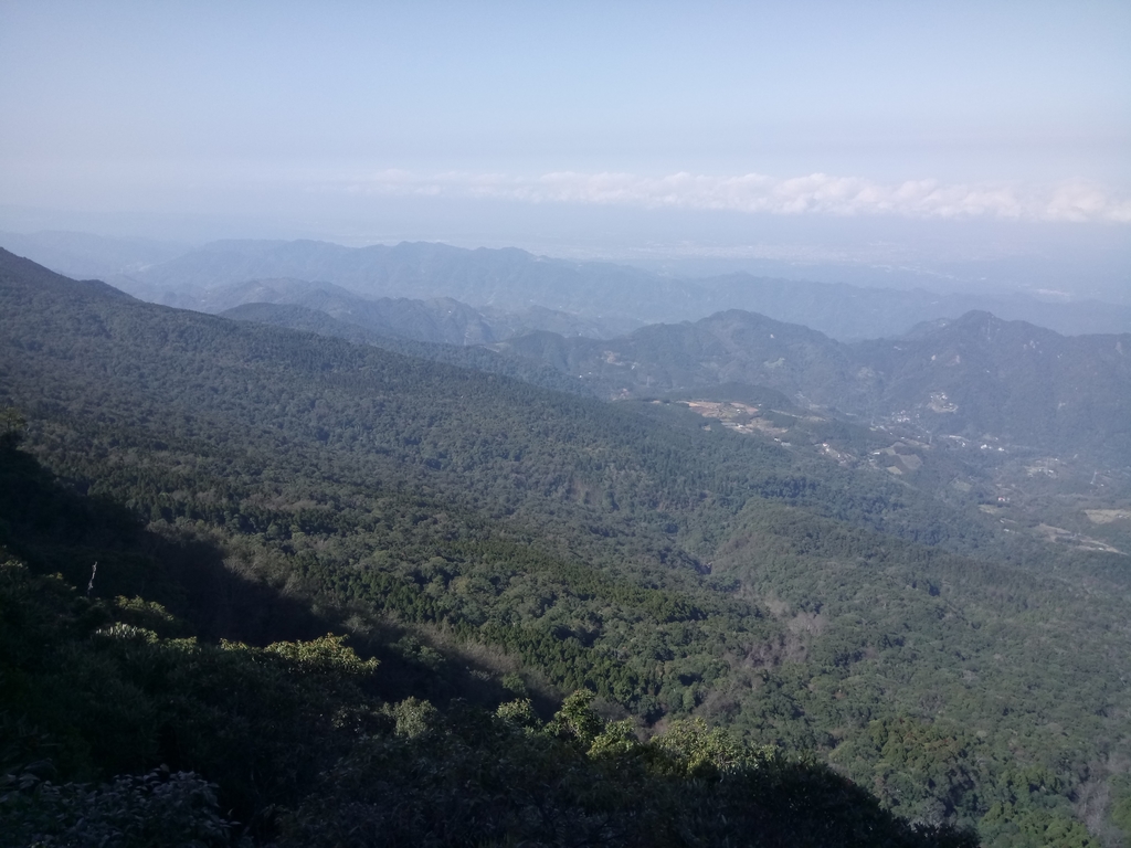 DSC_3618.JPG - 南庄  大坪林道  杜鵑嶺