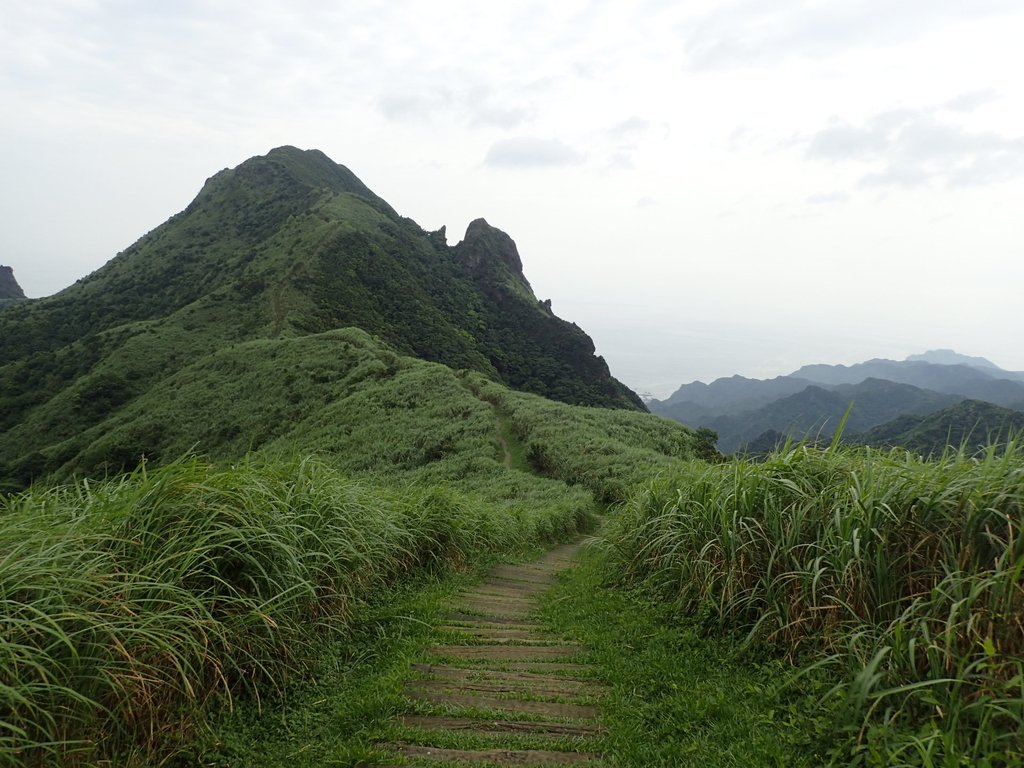 P5167520.JPG - 再登---  瑞芳  燦光寮山