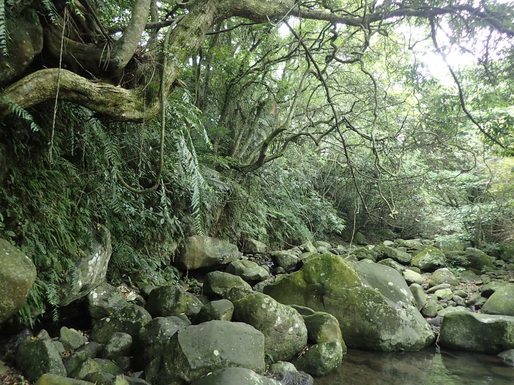 P6114251.JPG - 三芝  三板橋