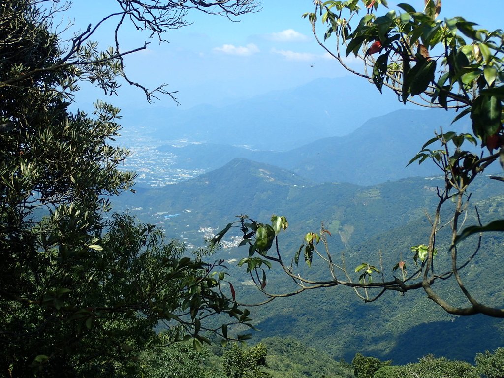 PA040467.JPG - 魚池  大尖山登山步道