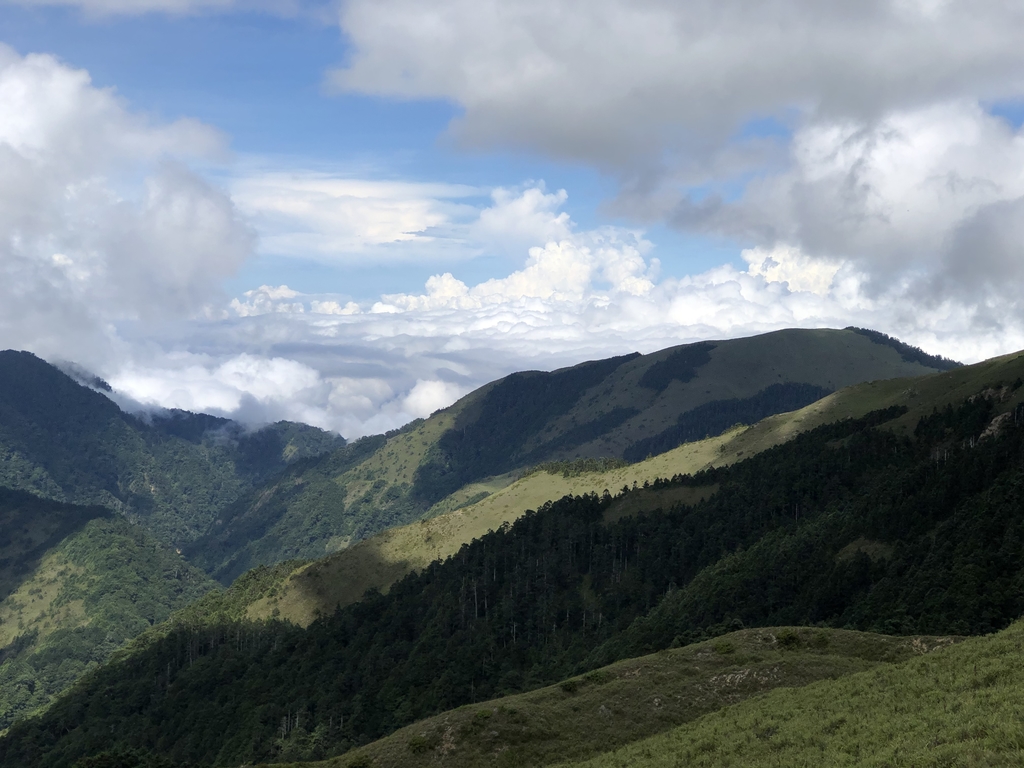 IMG_7806.JPG - 合歡山  北峰之美  (中)