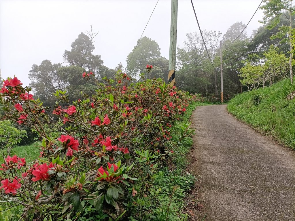 IMG20210403081710.jpg - 五峰  鵝公髻山登山步道  (01)