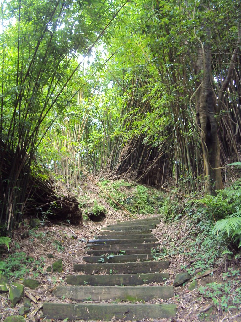 DSC07603.JPG - 瑞芳  粗坑口登山步道