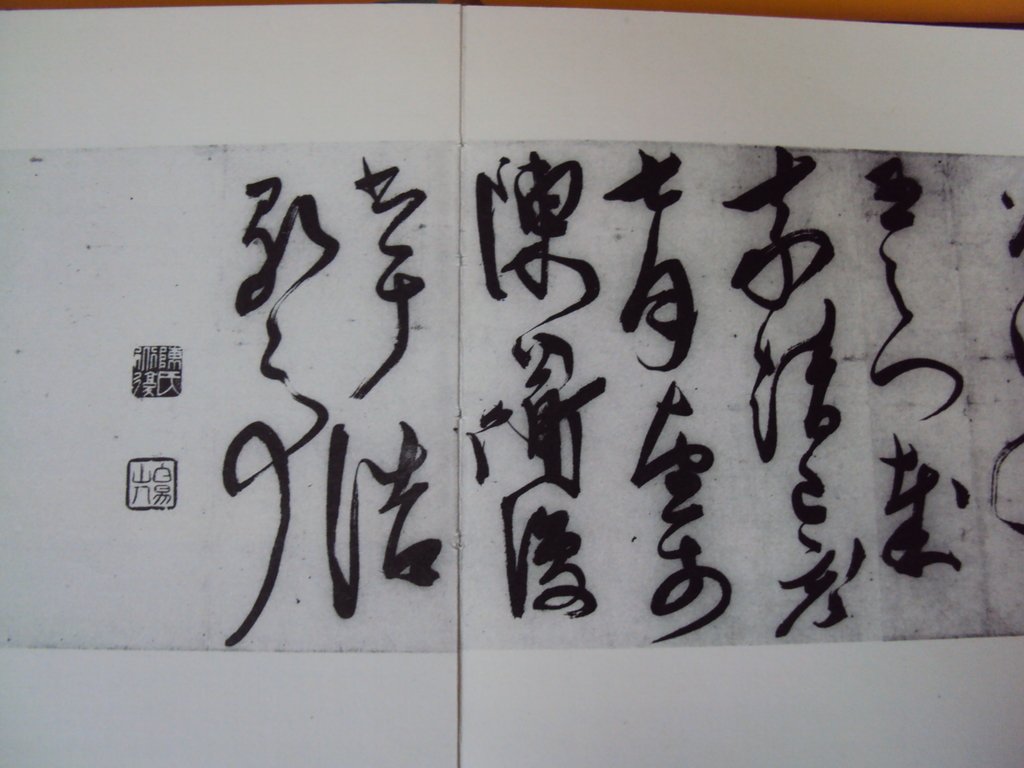 DSC00016.JPG - 陳淳的草書作品