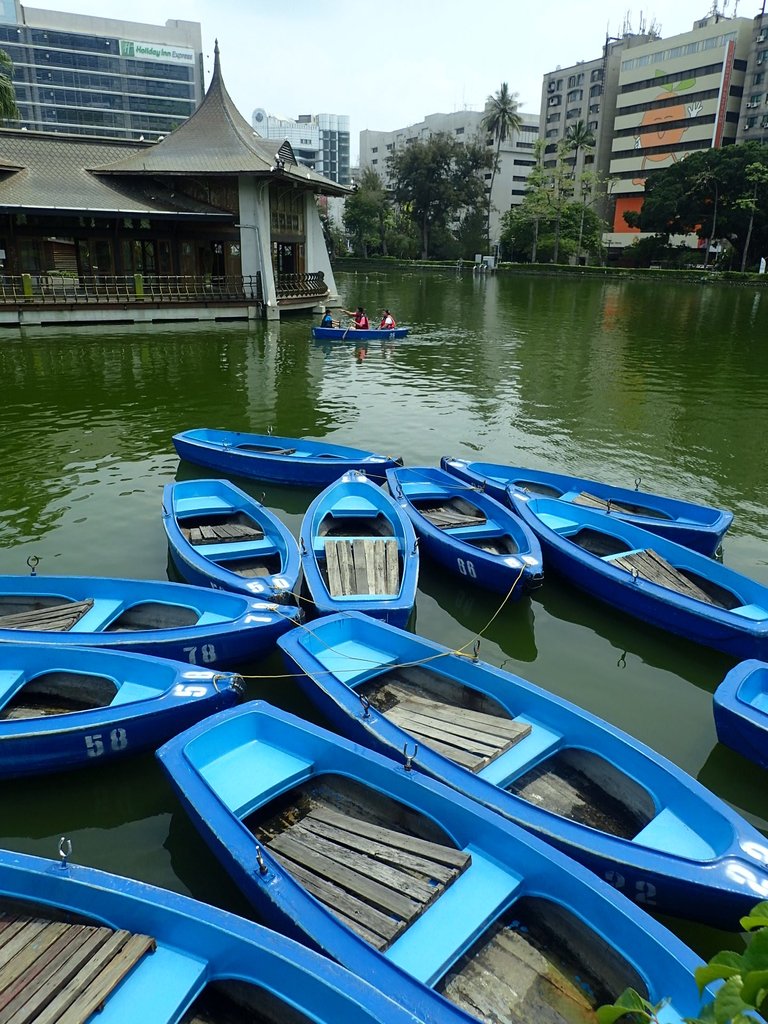 P4225078.JPG - 散步  台中公園一隅