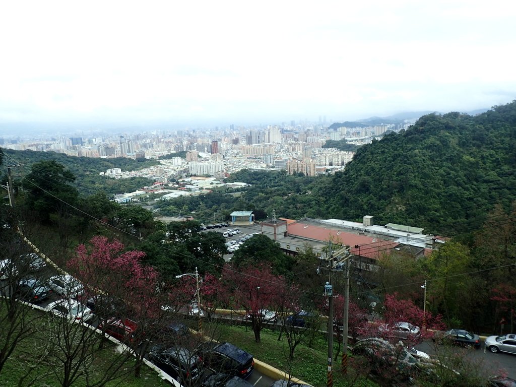 P2178239.JPG - 中和  南勢角山  (烘爐地)