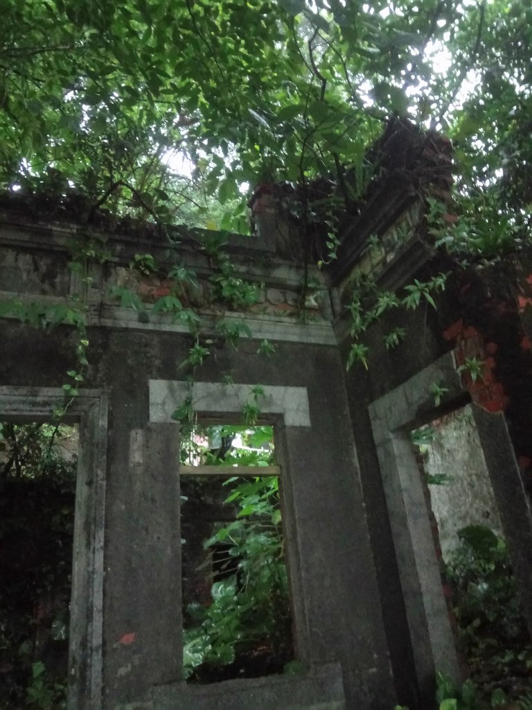 DSC_2843.JPG - 記憶廢墟  (324)