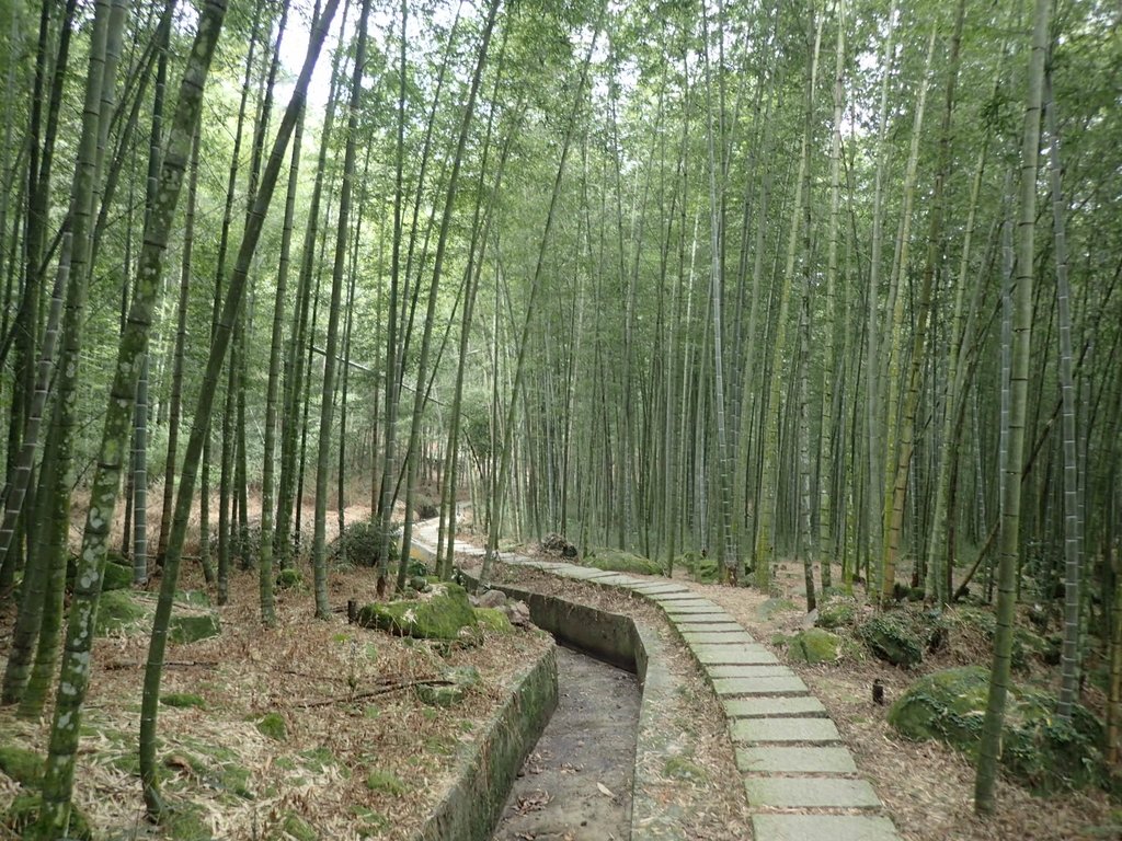 PA171284.JPG - 鹿谷  長源圳古道