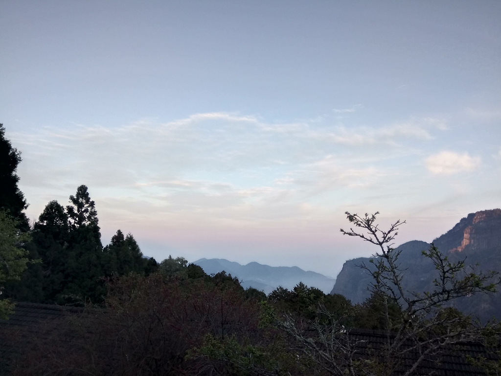 DSC_1624.JPG - 阿里山  沼平公園  賞櫻