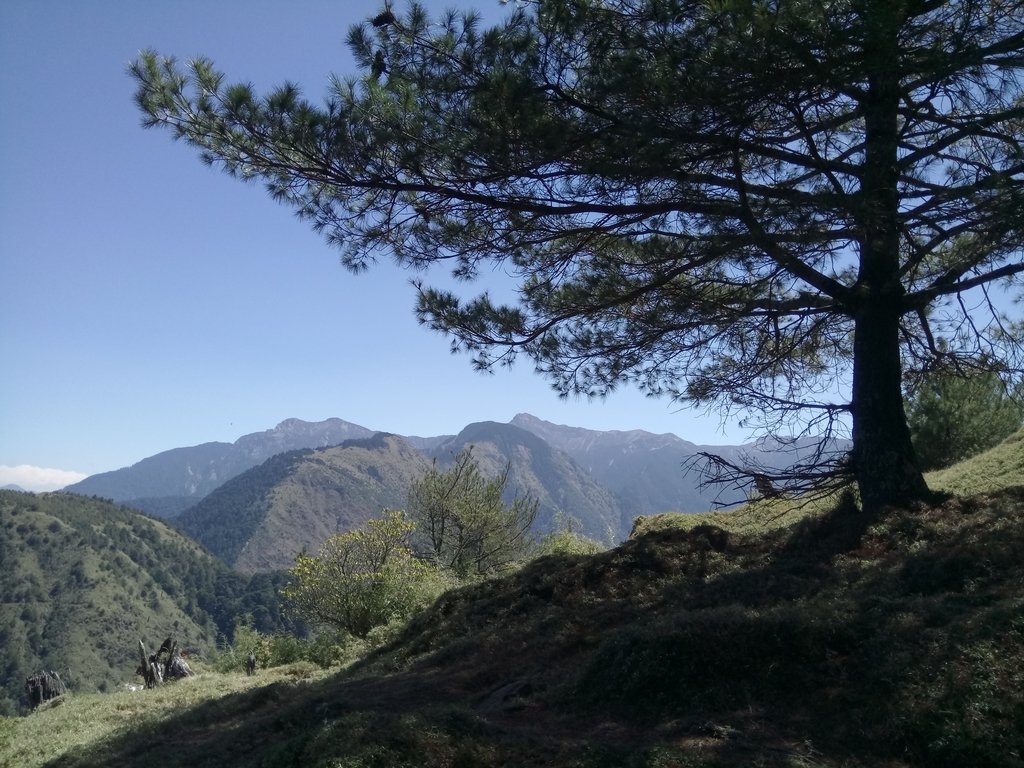 DSC_1702.JPG - 鹿林山  麟趾山步道  (02)