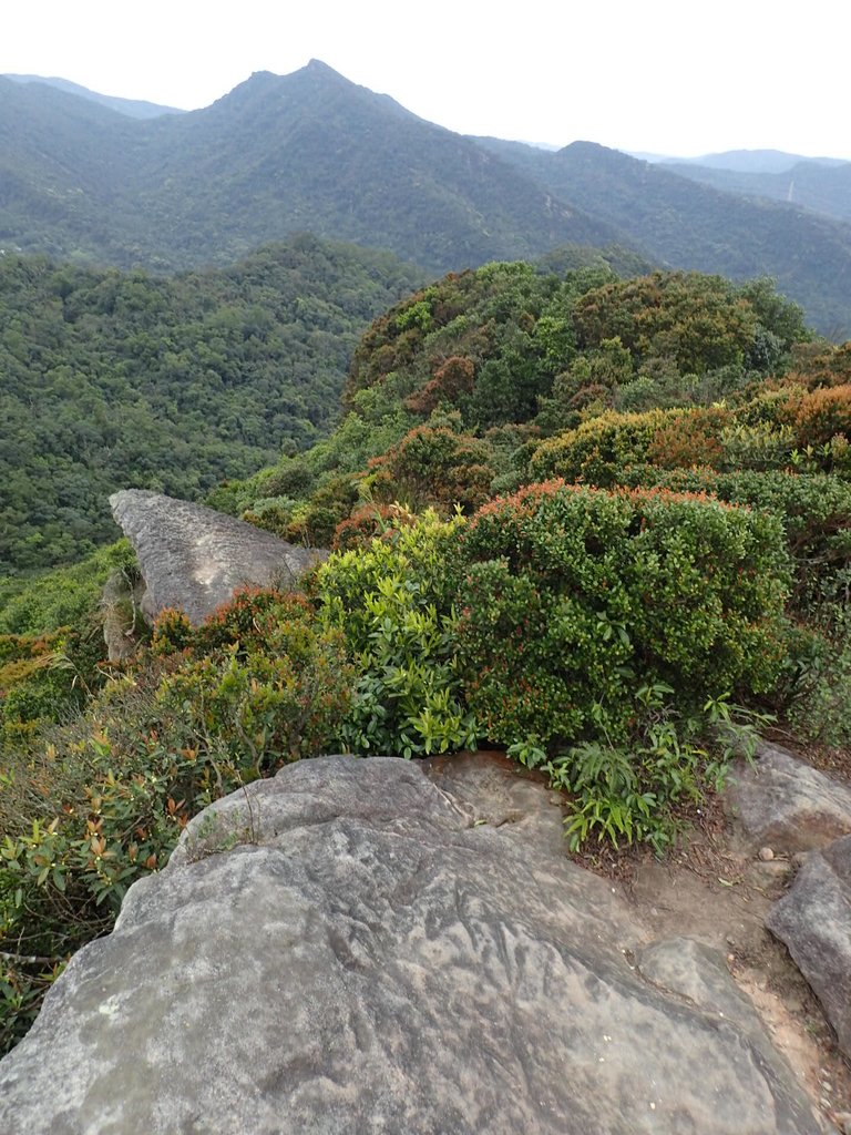 P3160088.JPG - 汐止  柯子林山  如意湖