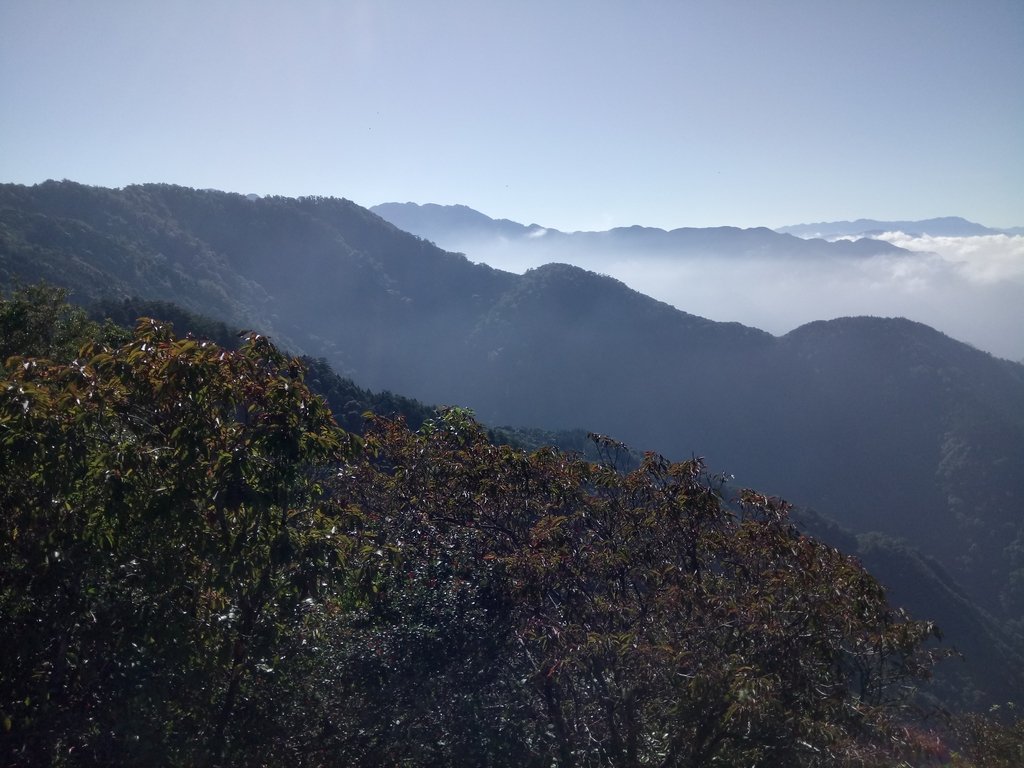 DSC_2609.JPG - 再訪---  台中  和平  鳶嘴山