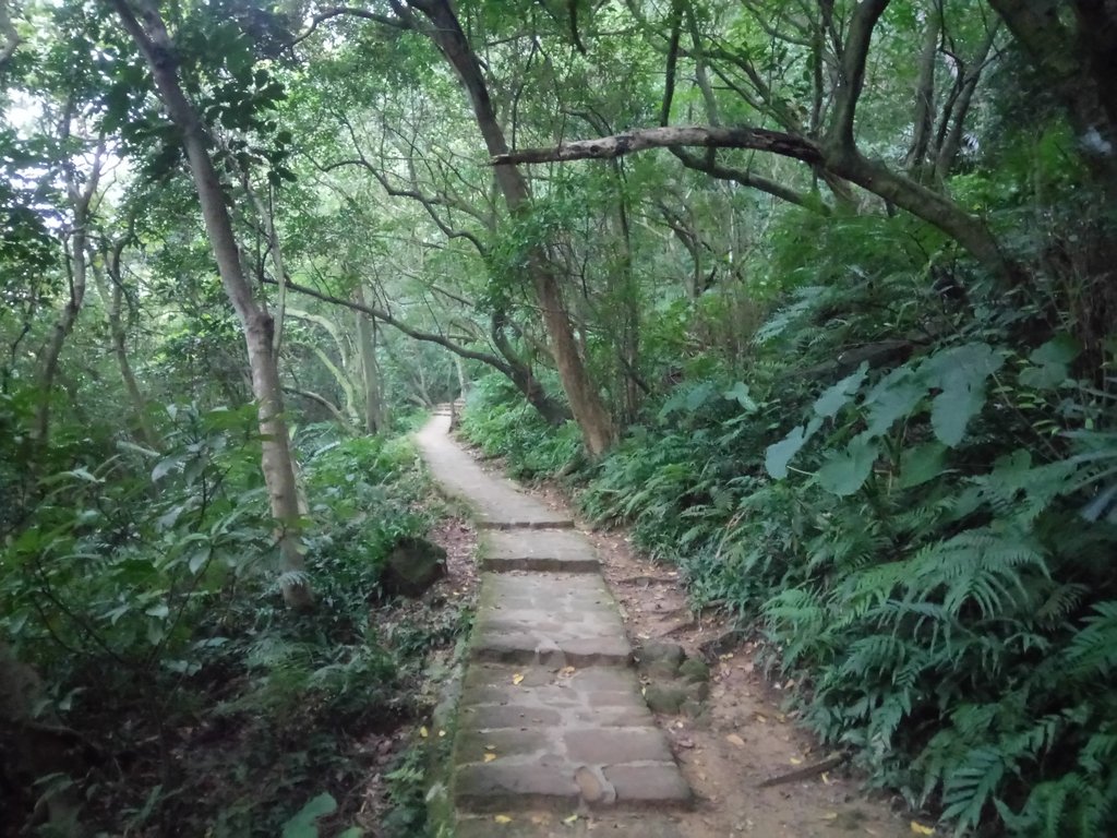 DSC_9247.JPG - 內湖  白鷺鷥山親山步道