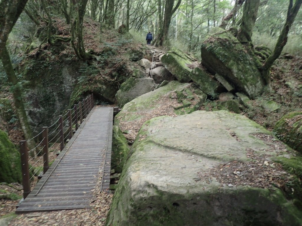 P2034944.JPG - 南庄  加里山