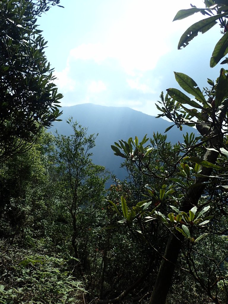 PA040485.JPG - 魚池  大尖山登山步道