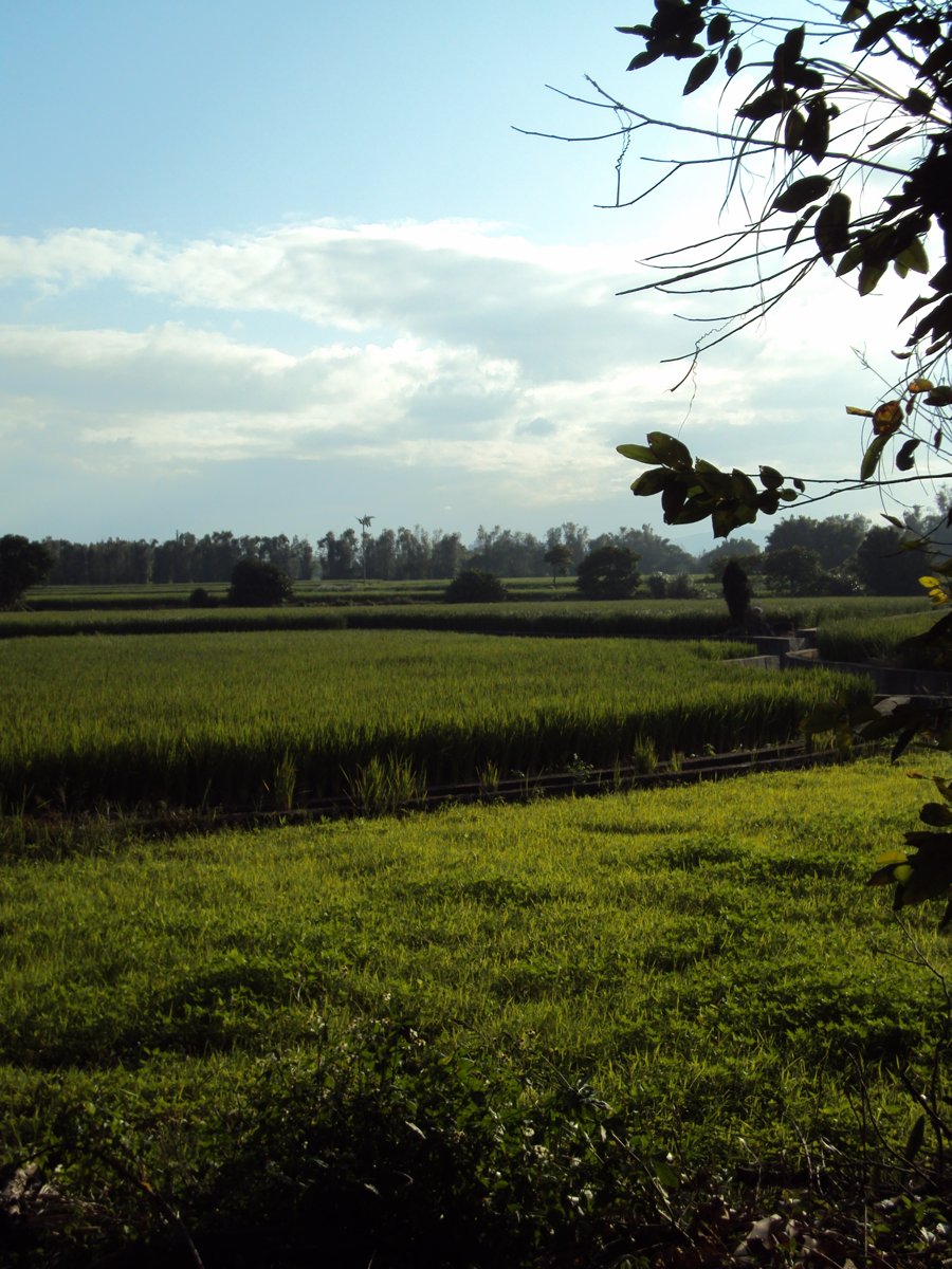 DSC01986.JPG - 平鎮  山子頂  陳家古厝