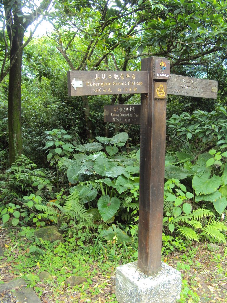 DSC07607.JPG - 瑞芳  粗坑口登山步道