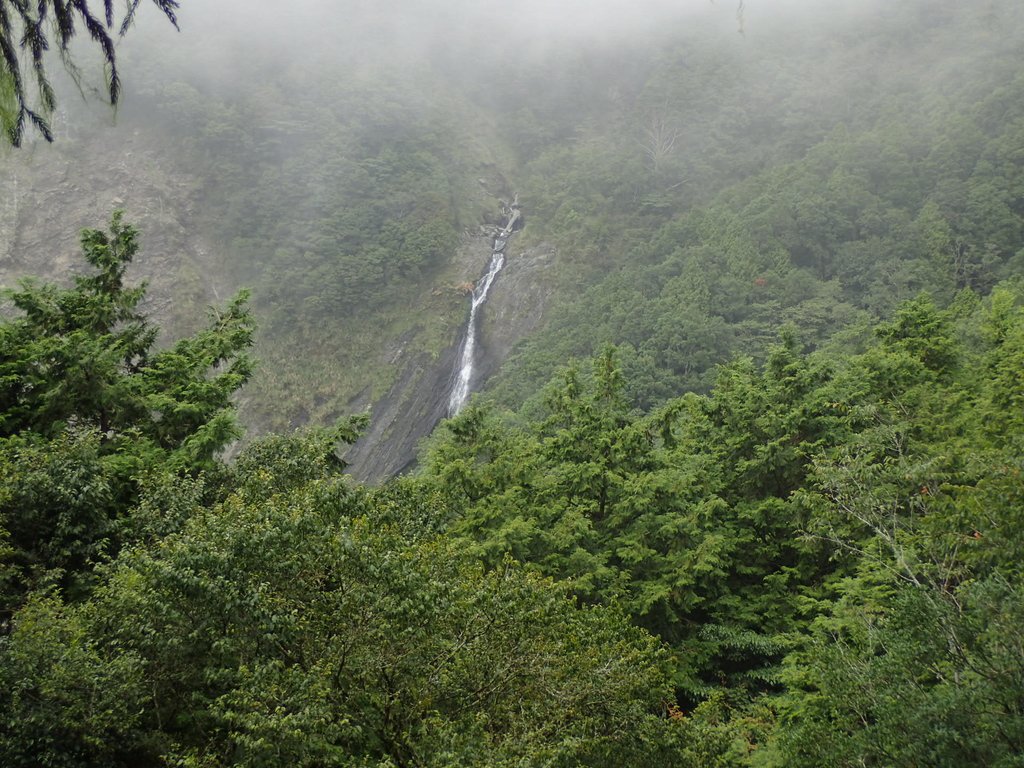 P8226852.JPG - 大同  太平山森林遊樂區