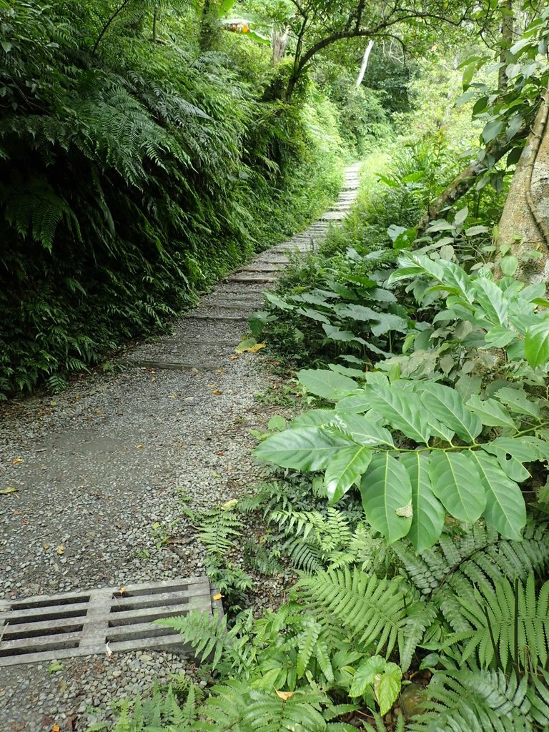 P9127749.JPG - 礁溪  林美石磐步道