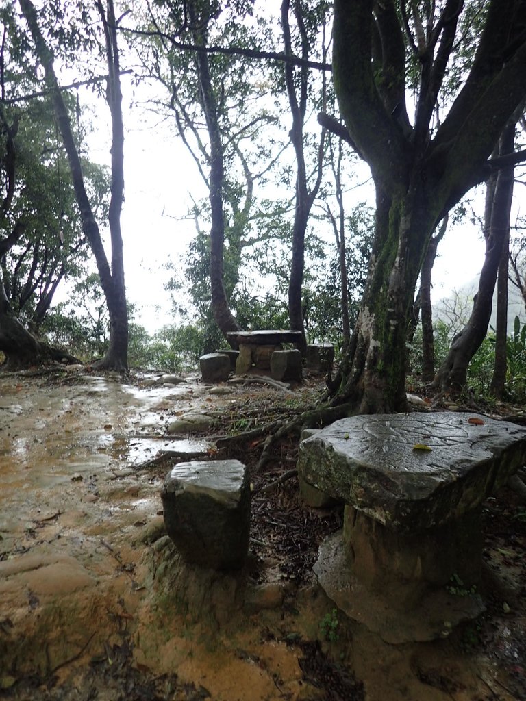 P1062043.JPG - 土城  天上山  登山步道