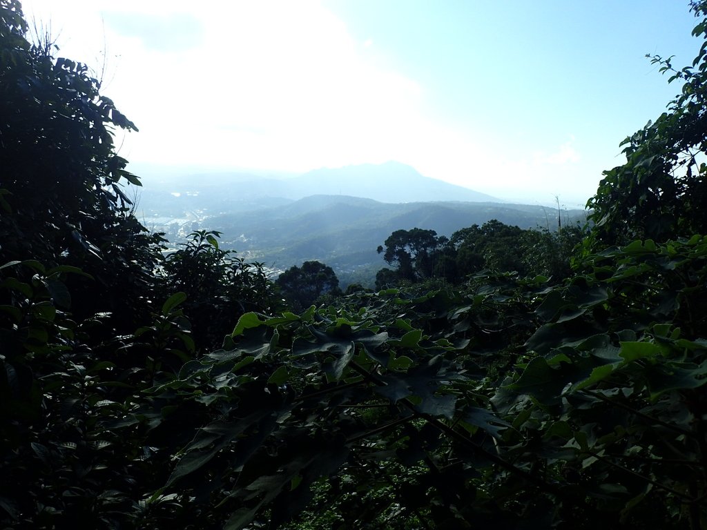 PB247276.JPG - 北投  中正山登山步道 01